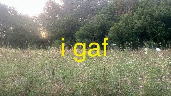 i put way too much thought into a nursing theory discussion post, so here it is